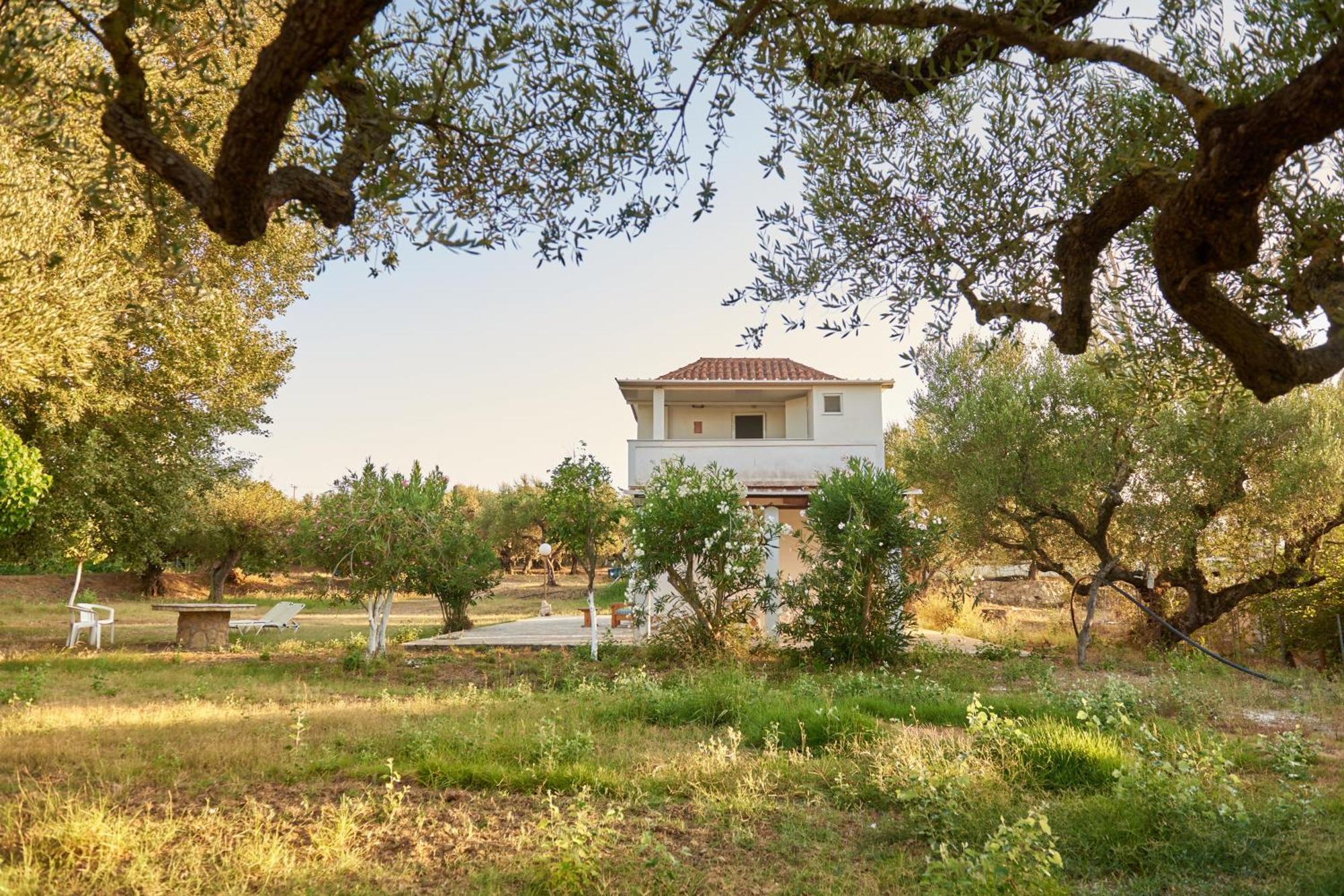 Villa Rania / Zante Drosia Kypseli Esterno foto
