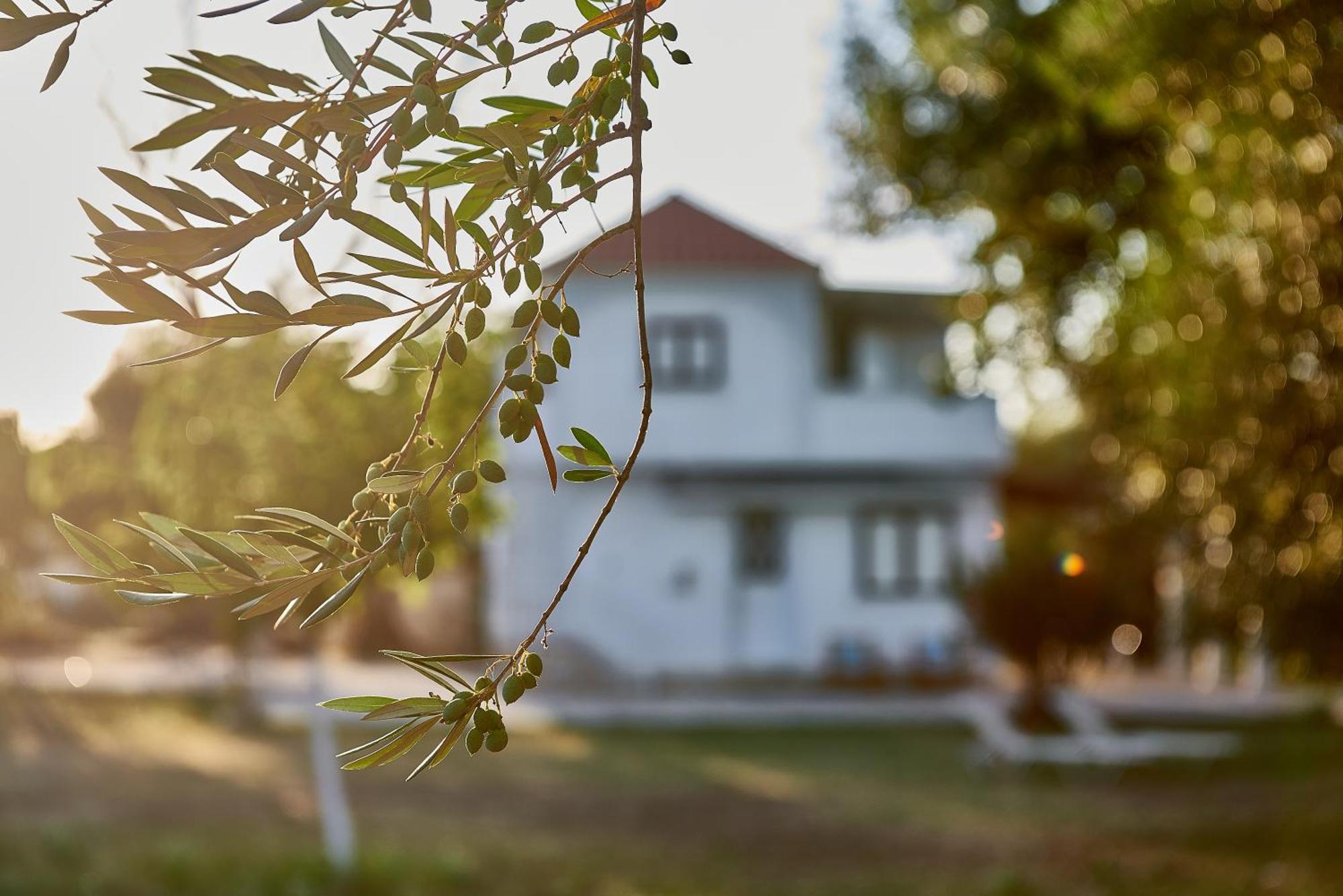 Villa Rania / Zante Drosia Kypseli Esterno foto