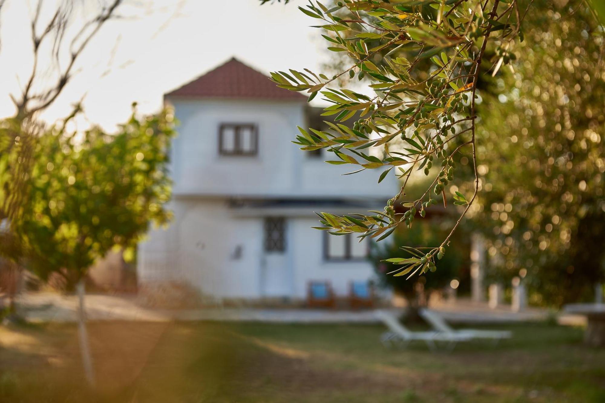 Villa Rania / Zante Drosia Kypseli Esterno foto
